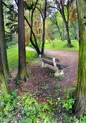 Lavička v parku