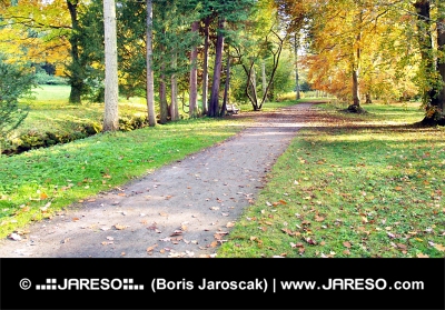 Pestrofarebný jesenný park a turistický chodník