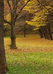 Jesenný park pri kúpeľných domoch v obci Lúčky