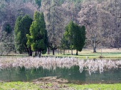 Park a jazero v Turčianskej Štiavničke