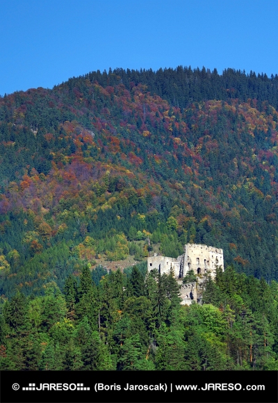 Ruiny hradu Likava v hustom lese