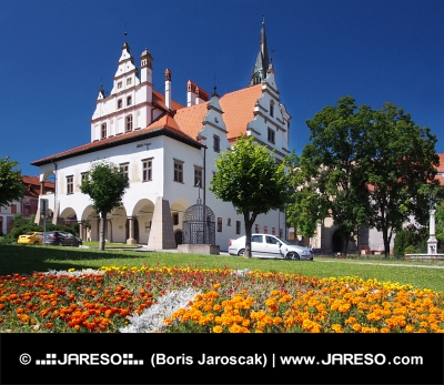 Kvety a radnica v Levoči na Slovensku