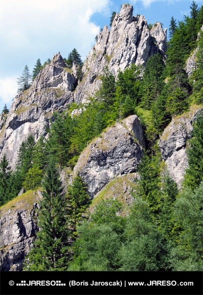 Masívne skaly vo Vrátnej doline na Slovensku